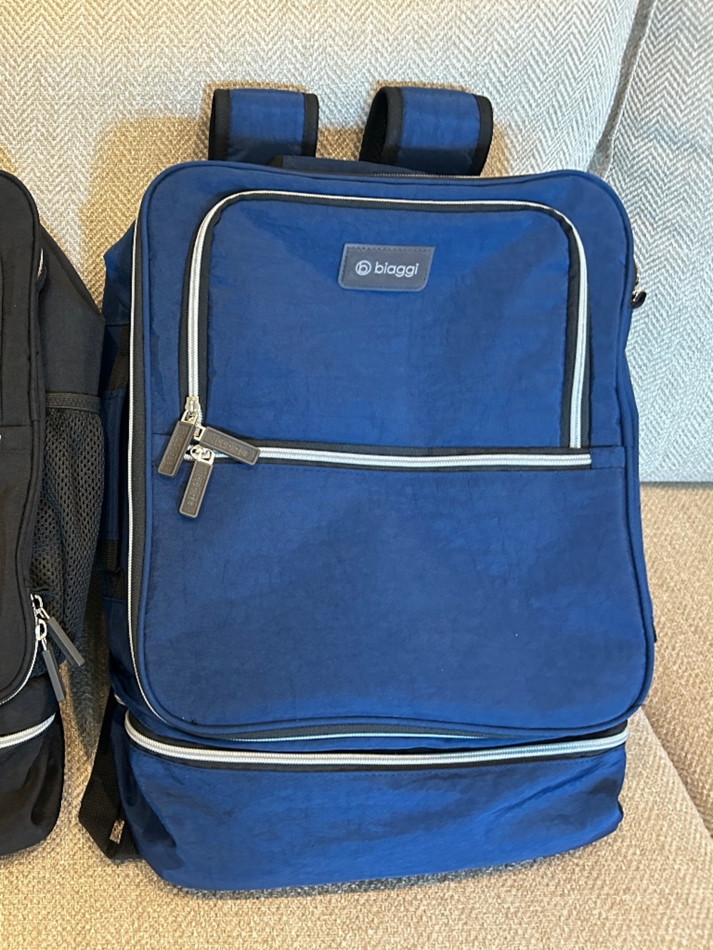 Biaggi Carry Cube Backpack